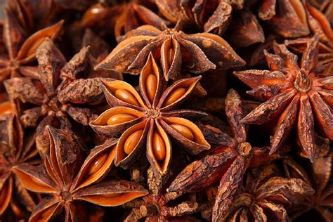 star anise amazon|where to purchase star anise.